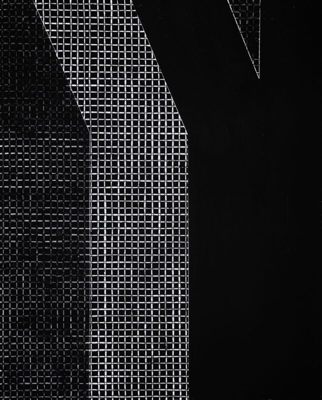 THE COLOR'S COLOR IS BLACK - 2  acrylic, canvas  180x145 cm.  2025-2026