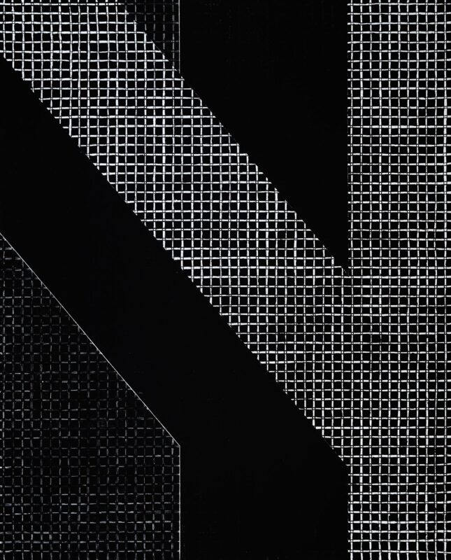 THE COLOR'S COLOR IS BLACK - 4  acrylic, canvas  180x145 cm.  2025-2026